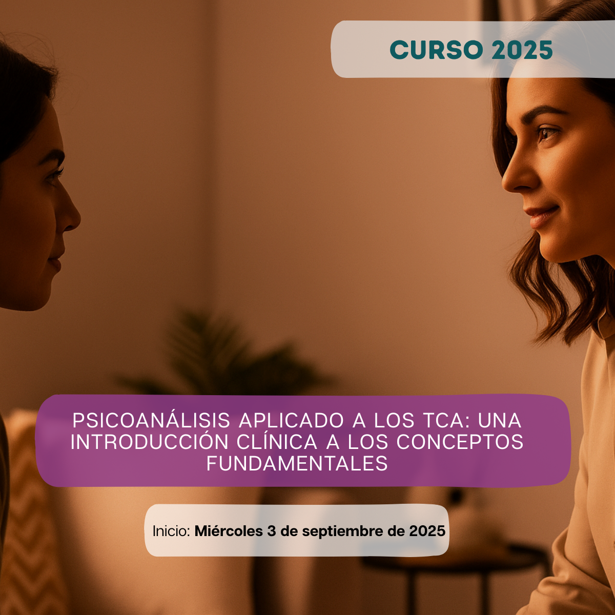 Psicoanálisis aplicado a los TCA una introducción clínica a los conceptos fundamentales